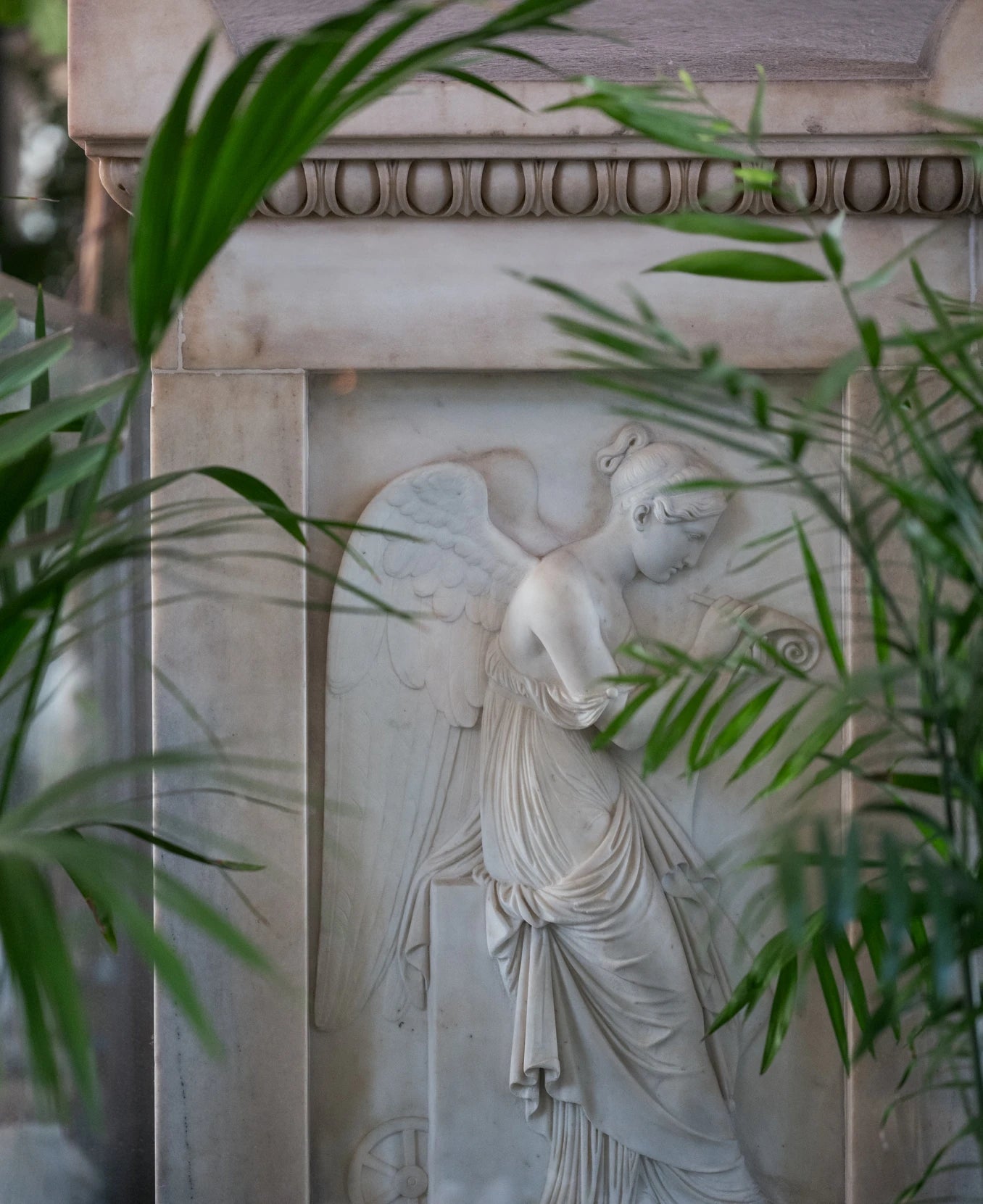 Daily Opera