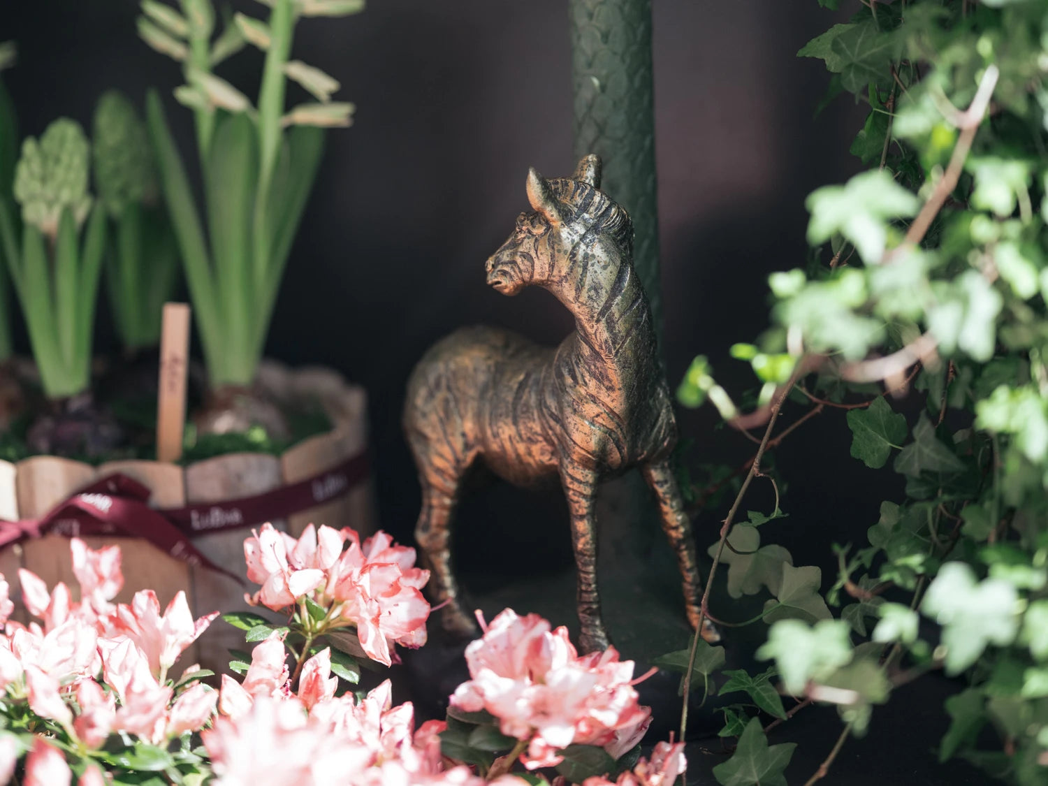 Carousel image